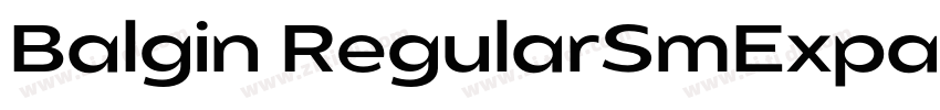 Balgin RegularSmExpa字体转换 Balgin RegularSmExpa字体转换